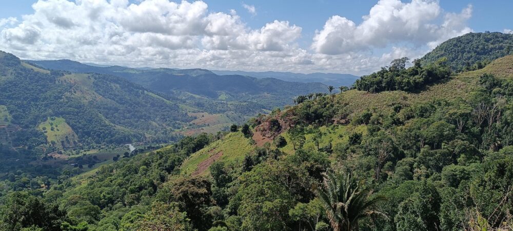 Equinox Resources inks offtake agreements to take advantage of critical mineral demand