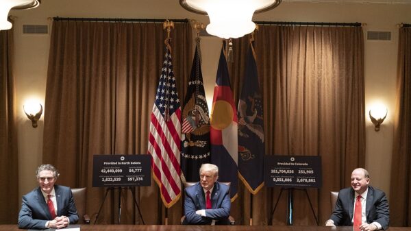 Will the Trump administration invest in US companies to relieve critical mineral shortage?