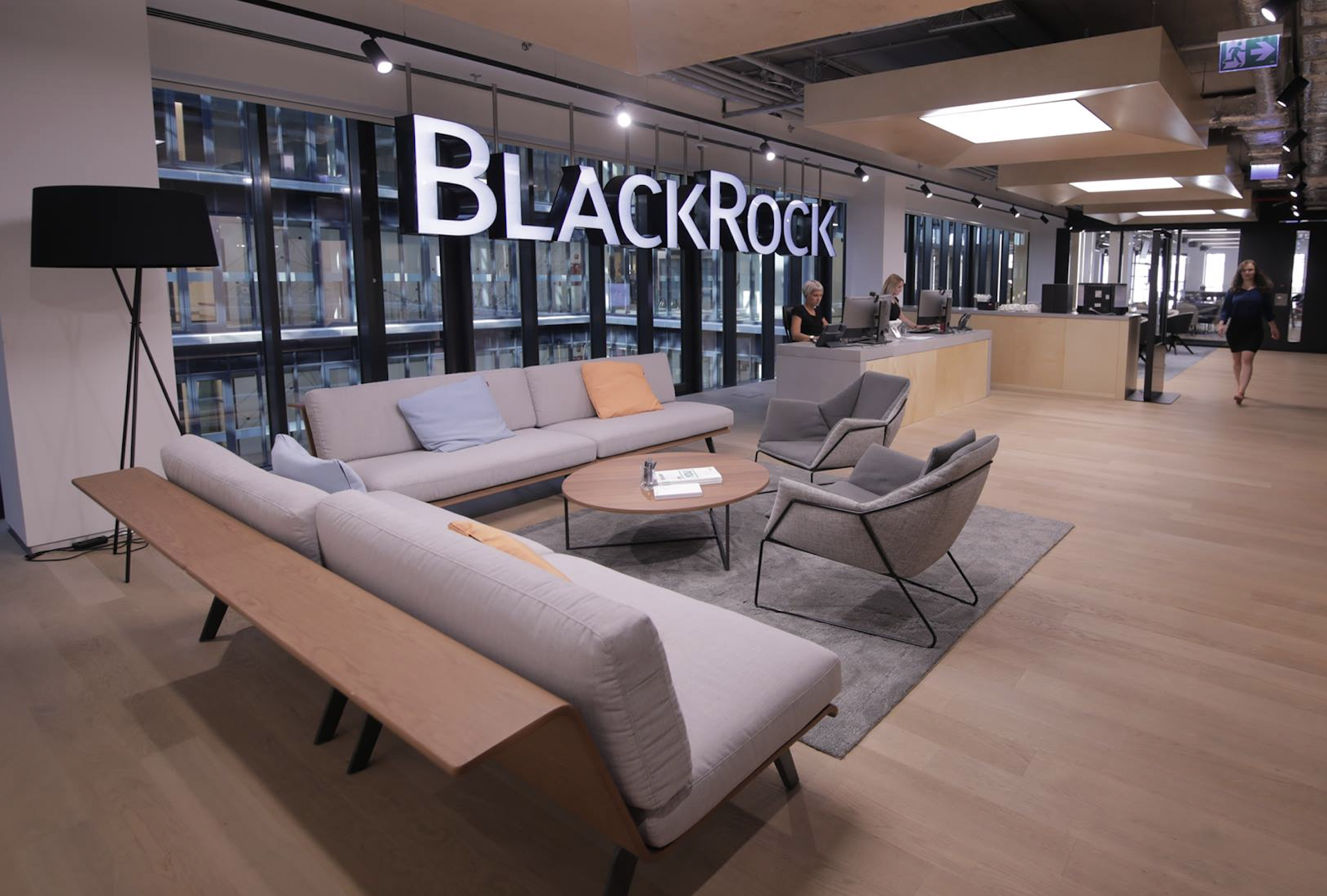 Asset management giant BlackRock gets skin in the antimony game