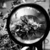 Decibel Cannabis stock is a worthwhile purchase, Haywood says