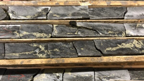 Kinross Gold exercises drilling option at Dixie Halo property