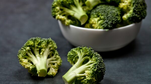 Nasdaq-listed Bon Natural Life launches broccoli-derived sleep aid supplement line
