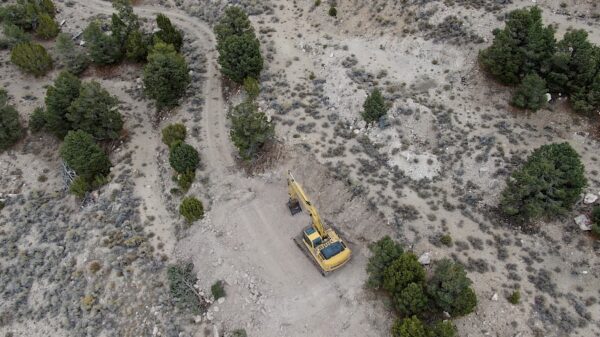 NevGold continues its good fortune with antimony grades in Nevada
