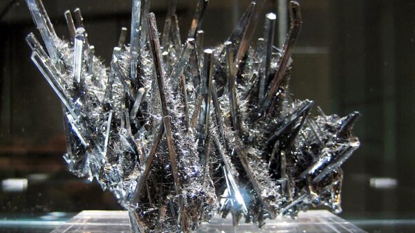 NevGold raises $5M for promising gold-antimony prospects in Nevada