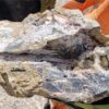 NevGold's Nevada property may just be the next American antimony resource of scale
