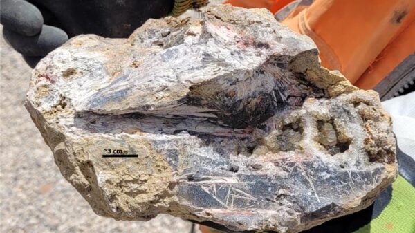 NevGold's Nevada property may just be the next American antimony resource of scale