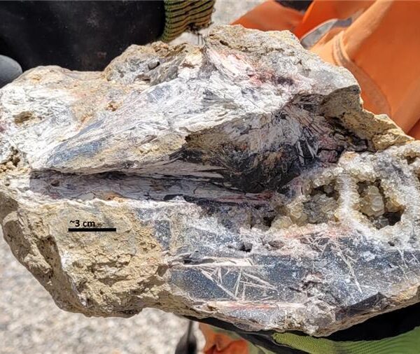 NevGold's Nevada property may just be the next American antimony resource of scale