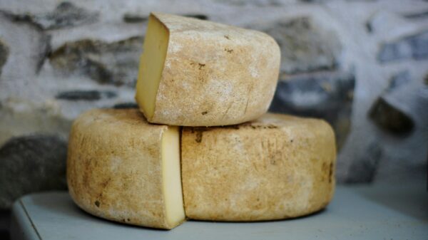 The next generation of mineral recovery from e-waste involves cheese