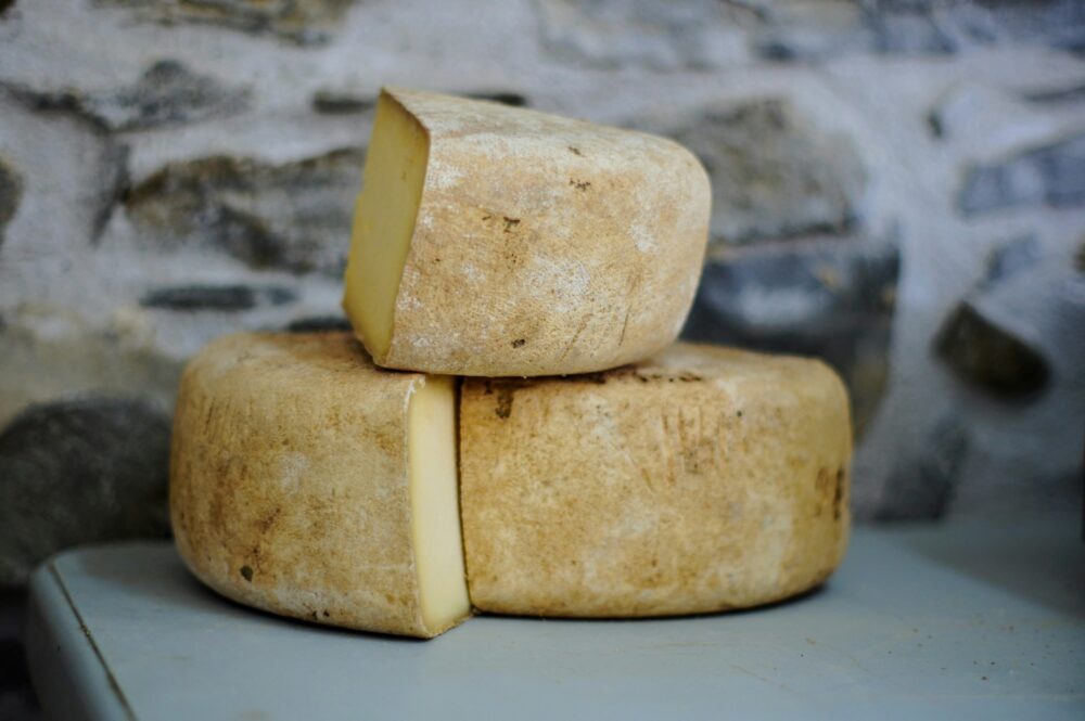 The next generation of mineral recovery from e-waste involves cheese