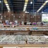 Vizsla Silver acquires historical Santa Fe property in Mexico