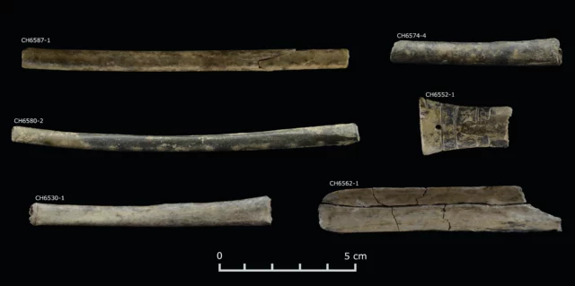 Researchers find oldest definitive evidence of psychedelic plant use in Peruvian Andes