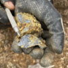 Alaska antimony prospectors start putting holes in the ground