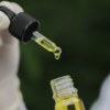 Cannabis extracts are the cure for epileptic seizures: study
