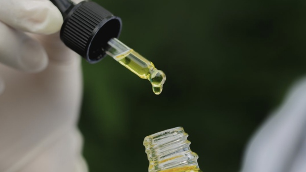 Cannabis extracts are the cure for epileptic seizures: study