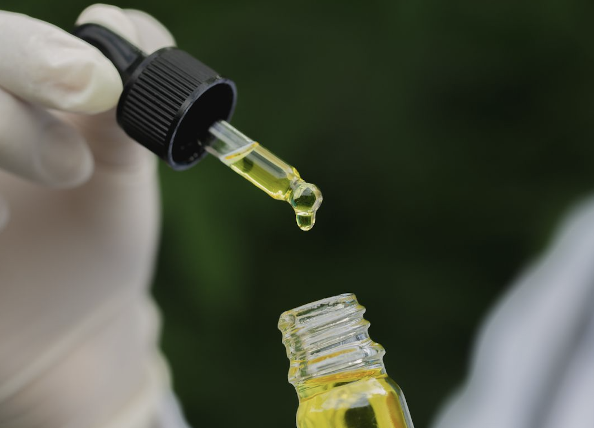 Cannabis extracts can cure epileptic seizures: study