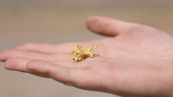 NevGold's latest Nevada drill results from show exceptionally rich gold mineralization