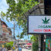 Thai cannabis advocates plan July rally over re-criminalization proposal