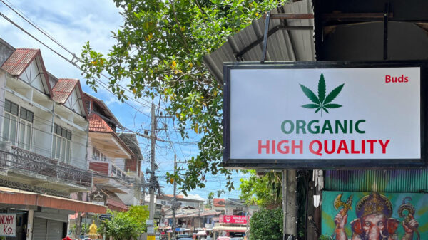 Thai cannabis advocates plan July rally over re-criminalization proposal