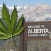 Alberta now permits cannabis sales at events where minors are present