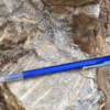 Antimony recovery results at NevGold's Limo Butte project exceed expectations