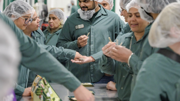 Canadian cannabis sales hit record high in May, latest data shows