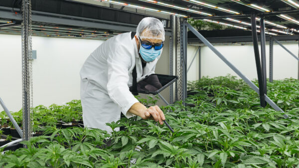 Cresco Labs becomes latest operator to bail on California market