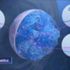 Oxford Biodynamics surges after Pfizer trial backs blood-based cancer test
