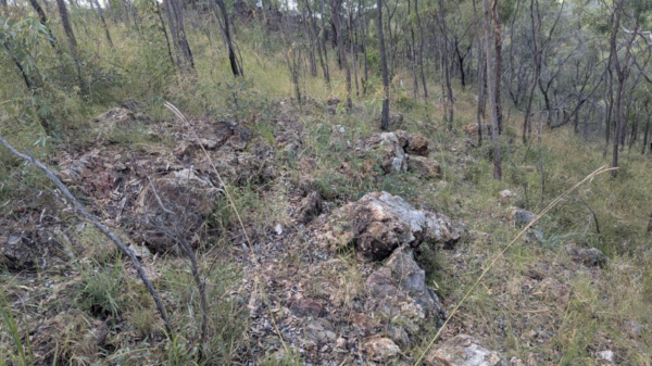 Rokeby Resources heads to Sunshine Coast to show off new gold-antimony asset