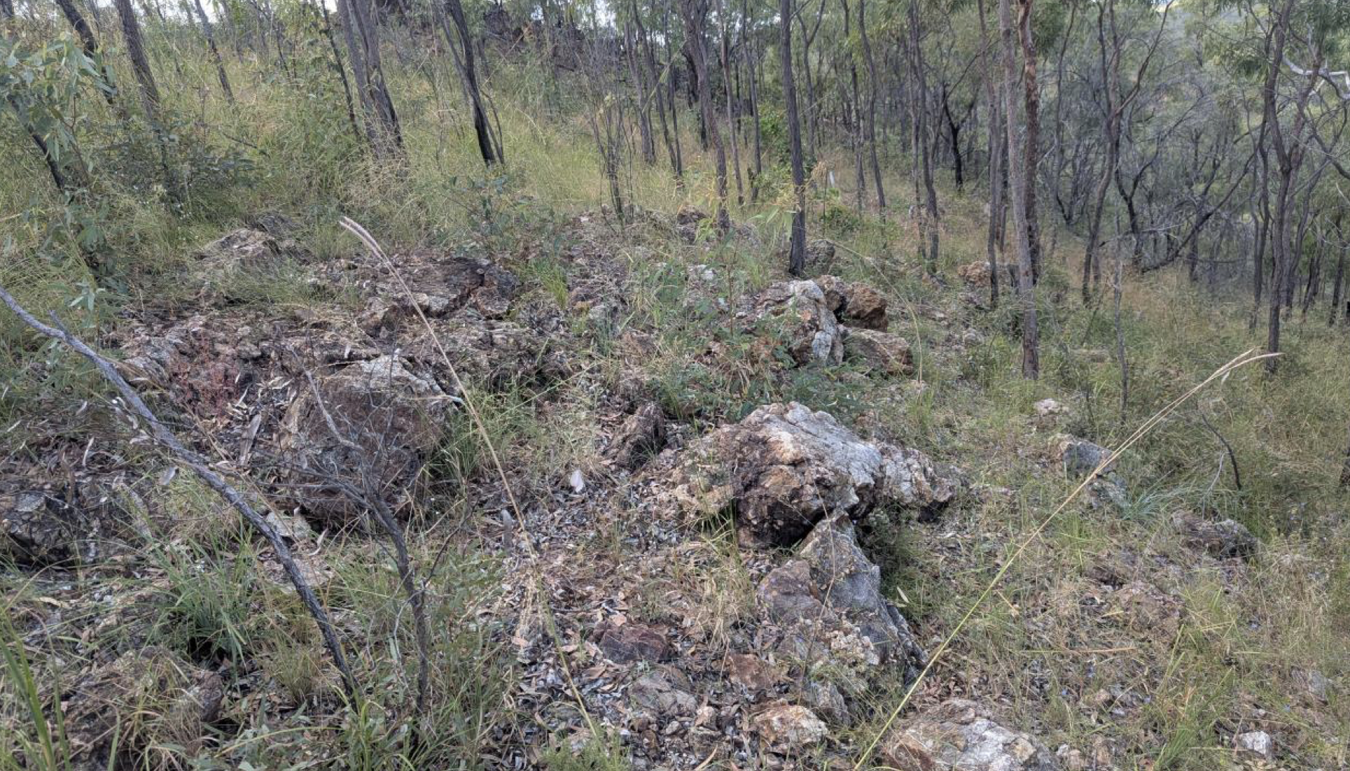 Rokeby Resources heads to Sunshine Coast to show off new gold-antimony asset