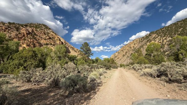 Trigg Minerals pulls C$11.1 million together to advance Antimony Canyon project
