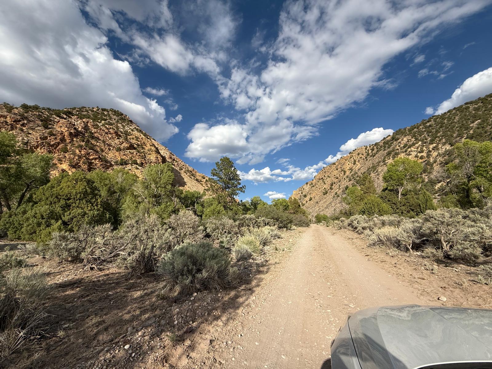 Trigg Minerals pulls C$11.1 million together to advance Antimony Canyon project