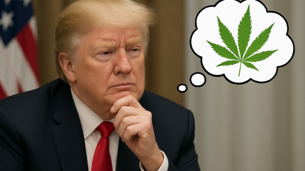 Cannabis stocks and ETFs rally as Trump reportedly considers rescheduling