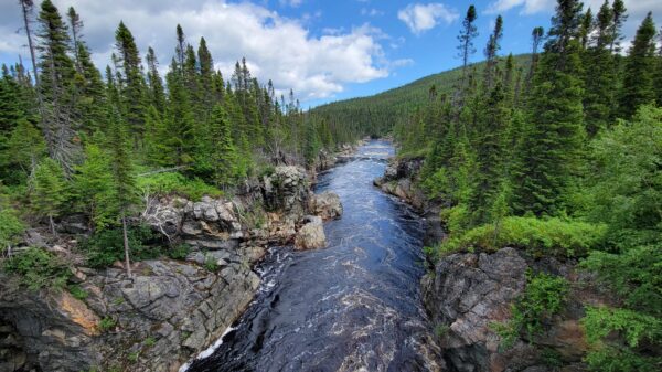 Churchill Resources uncovers high grade antimony, gold, and silver at Black Raven Property