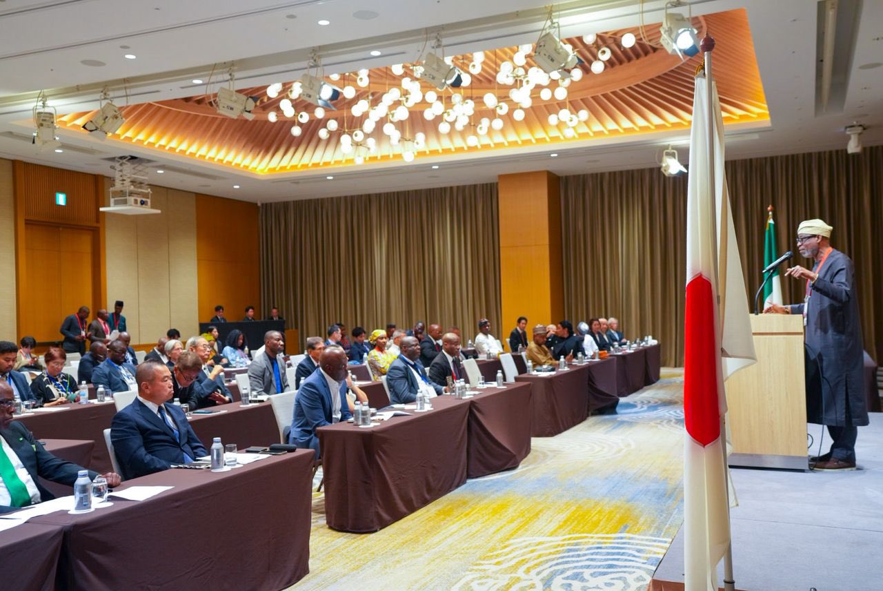 Japan is bullish on Nigeria's mining sector, forges alliance with nation