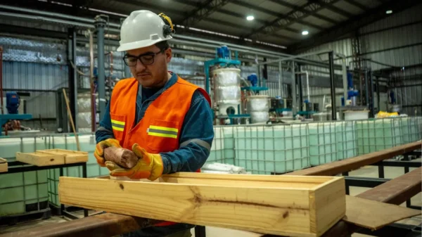Lithium Americas inks joint venture deal with Ganfeng for Argentine property