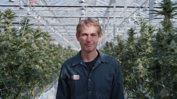 Village Farms to complete massive cultivation expansion in BC