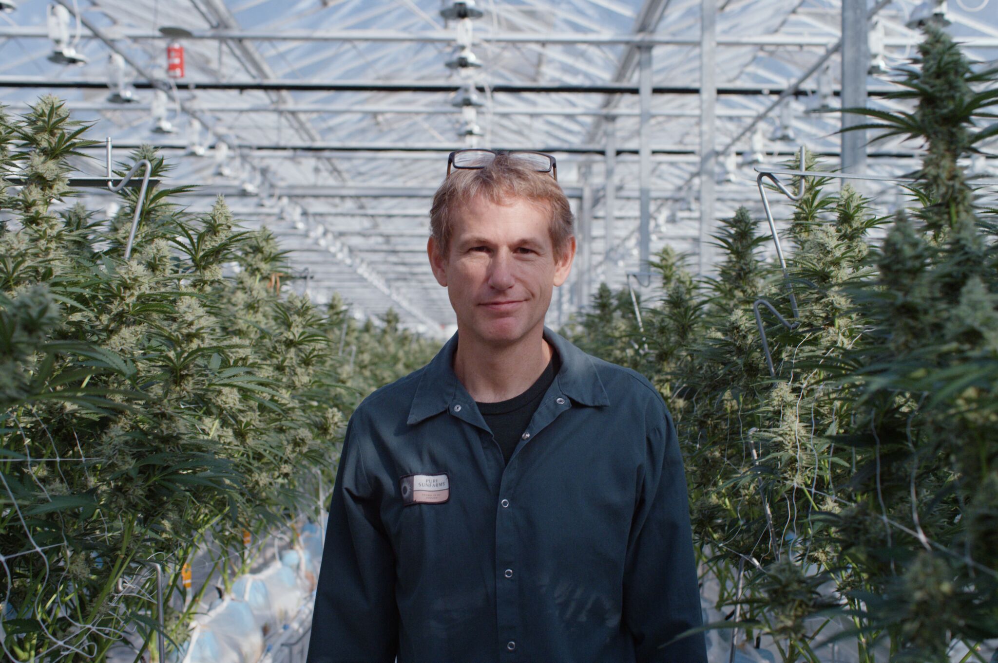 Village Farms to complete massive cultivation expansion in BC