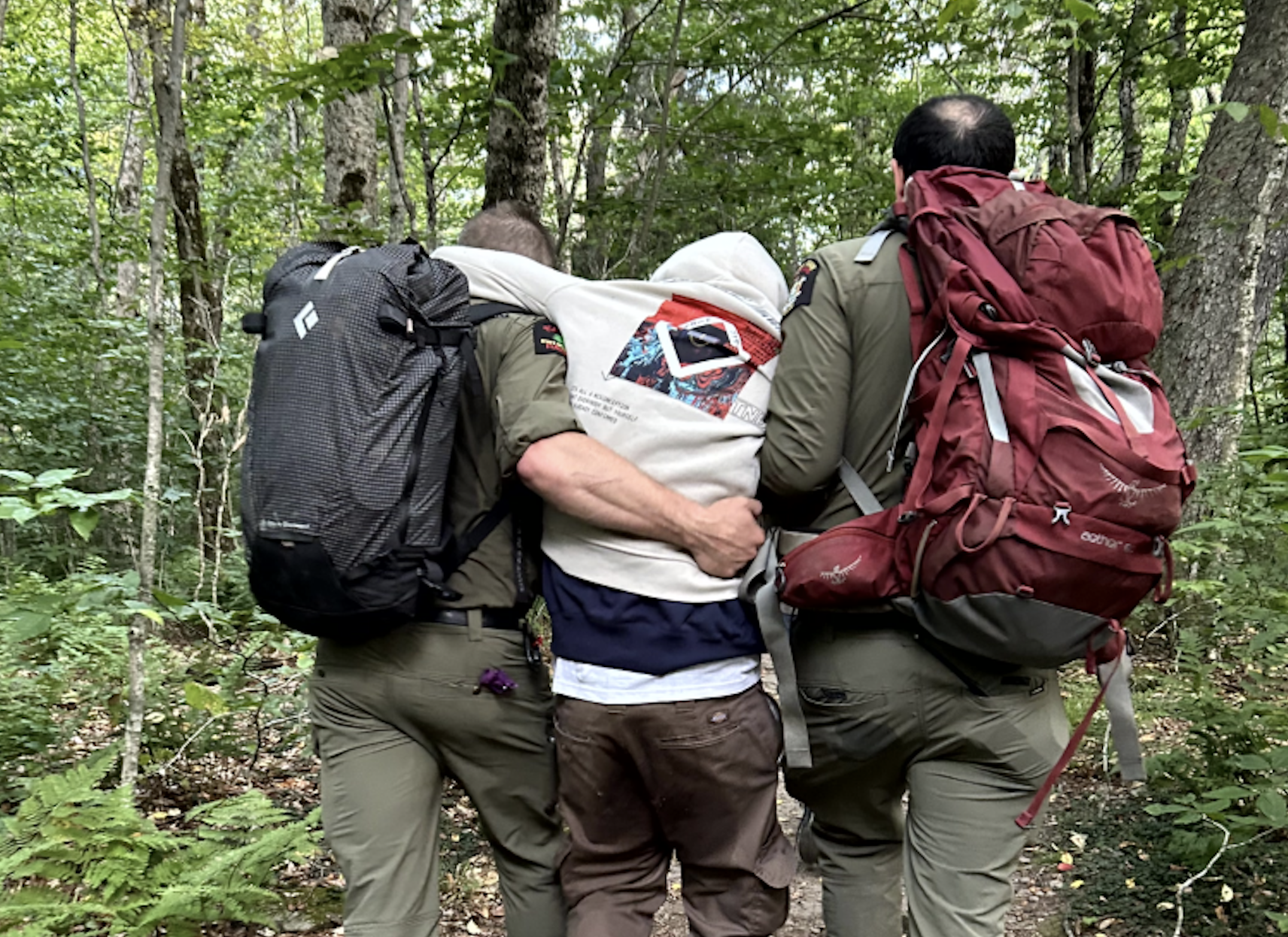 Forest rangers rescue hikers who ate too many mushrooms and got lost