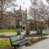 McMaster surgeon develops AI tool to reduce invasive lung biopsies