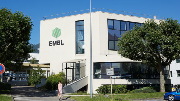 Medical revolution: AI bot 'Delphi-2M can predict your risk of over 1,000 diseases