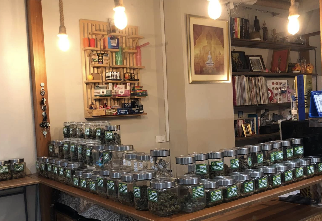 Thailand gets pro-cannabis prime minister after recreational use recriminalized