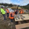 U.S. government awards Nova Minerals US$43.4M to expedite antimony mine