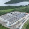 FAST 41 and Trump’s Critical Minerals: A Mugglehead Roundup