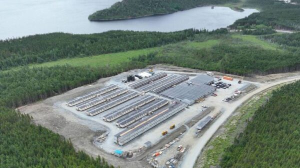 FAST 41 and Trump’s Critical Minerals: A Mugglehead Roundup