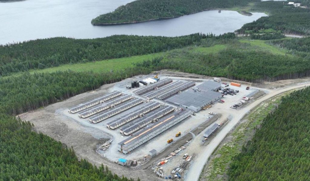 FAST 41 and Trump’s Critical Minerals: A Mugglehead Roundup