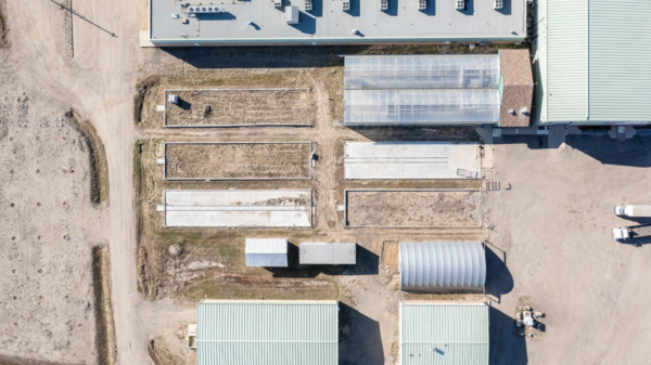 Former Canadian cannabis cultivation site may become AI data centre