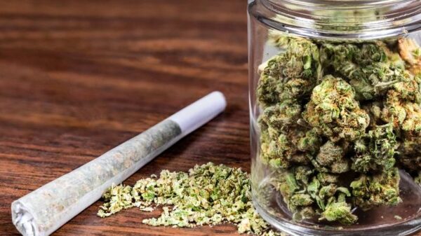 Manitoba cannabis revenue growing at faster pace than liquor sales