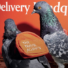Pigeon pot delivery service excites New Yorkers, turns out to be marketing stunt