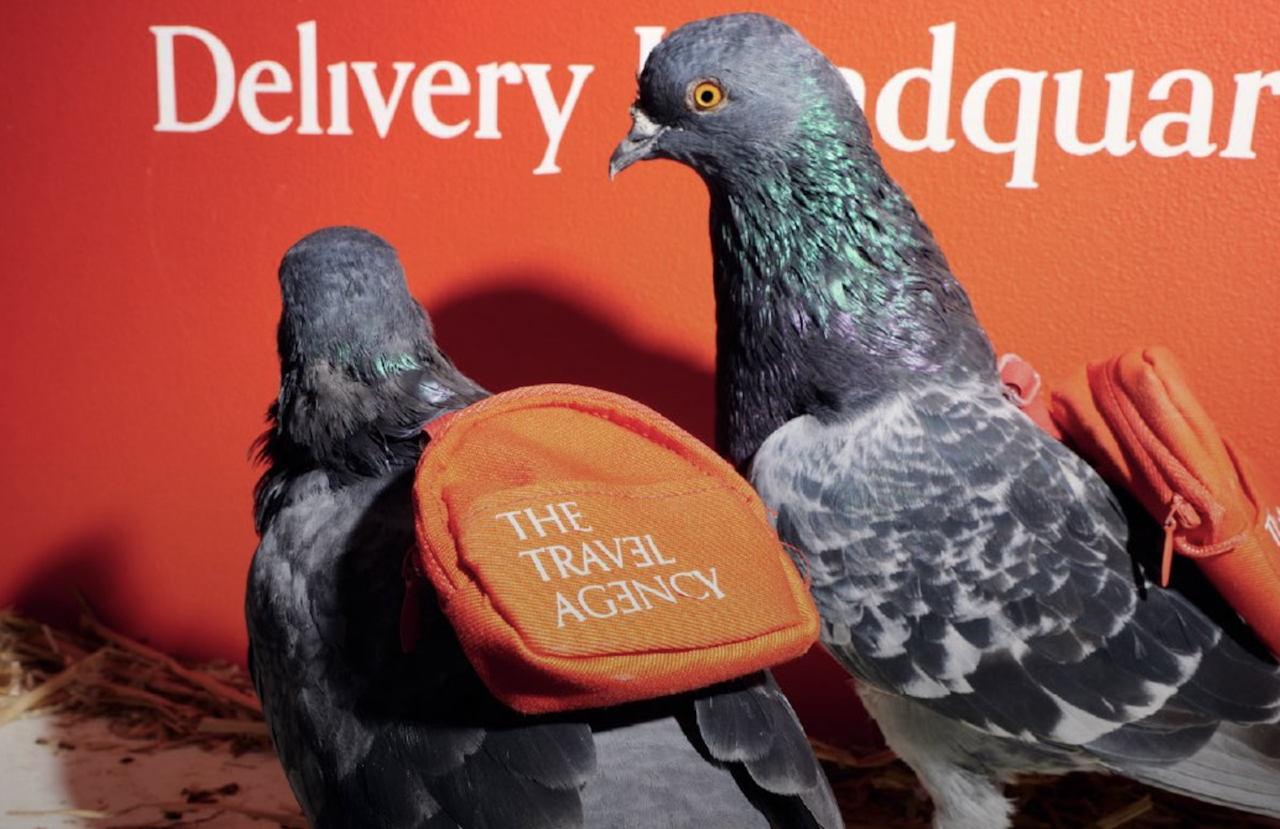 Pigeon pot delivery service excites New Yorkers, turns out to be marketing stunt