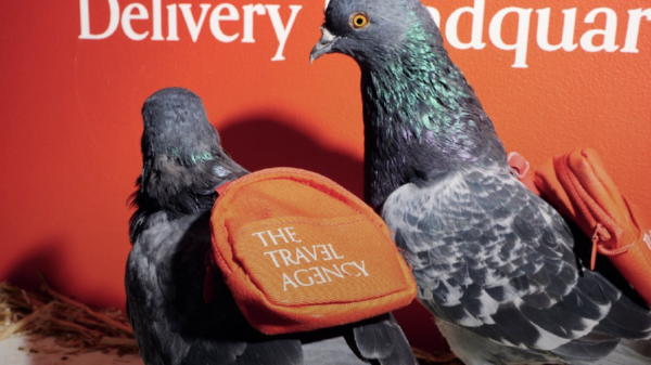 Pigeon pot delivery service excites New Yorkers, turns out to be marketing stunt